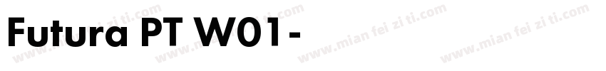 Futura PT W01字体转换